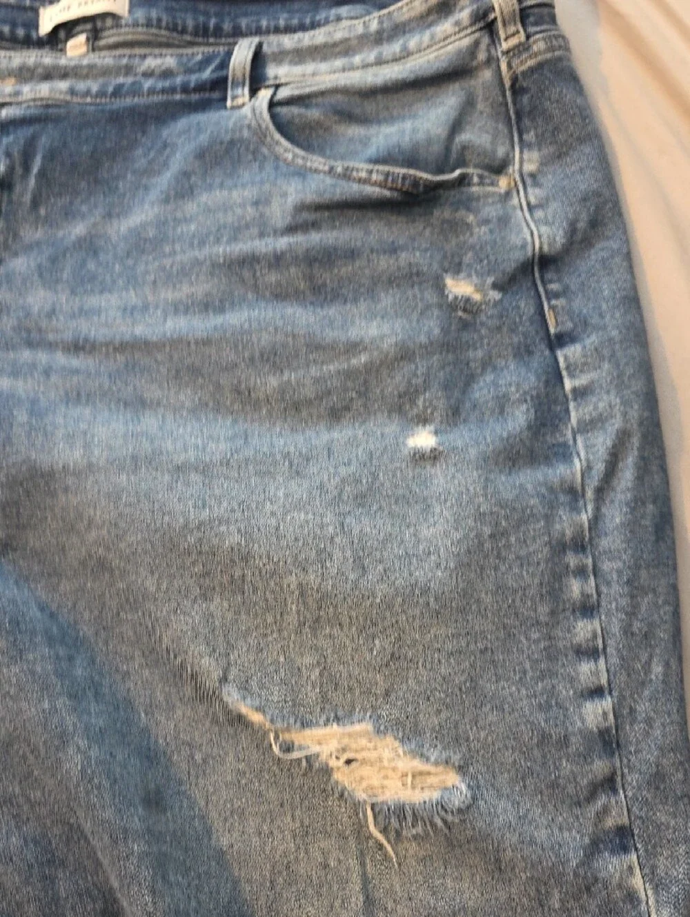 Lane Bryant Light Blue Distressed Denim Shorts